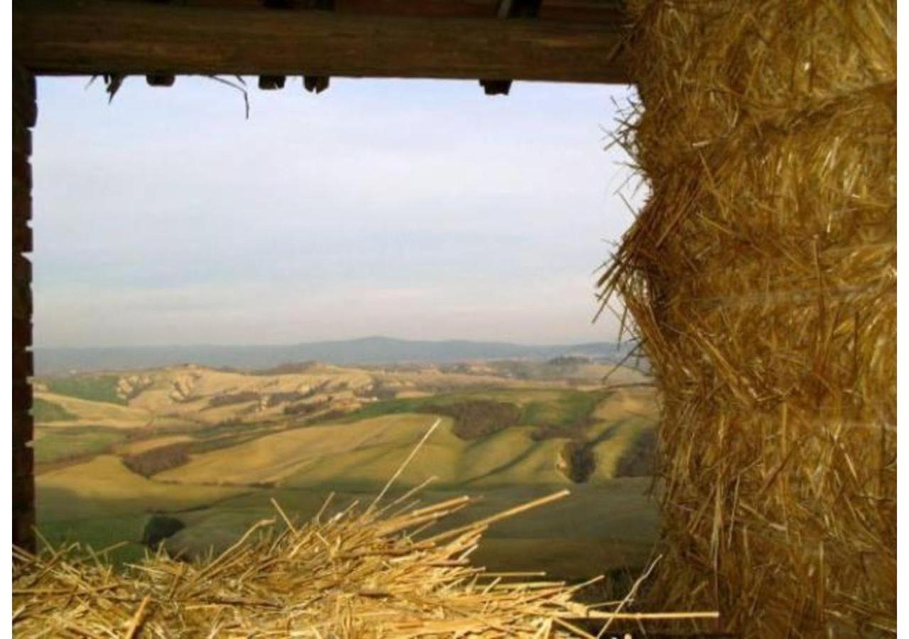 Agriturismo Le Crete - Appartamenti Asciano Ngoại thất bức ảnh