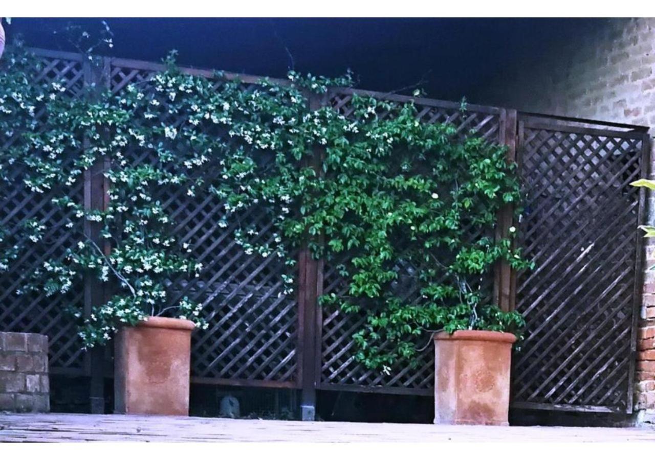 Agriturismo Le Crete - Appartamenti Asciano Ngoại thất bức ảnh