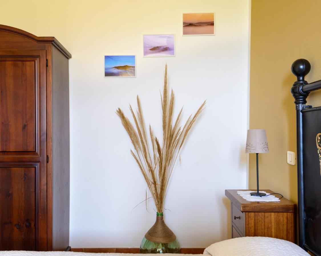 Agriturismo Le Crete - Appartamenti Asciano Ngoại thất bức ảnh