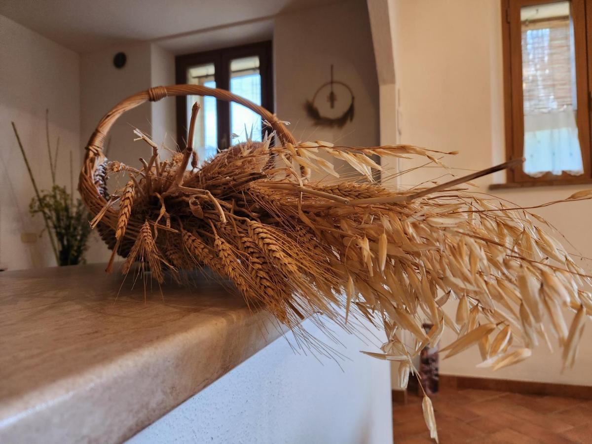 Agriturismo Le Crete - Appartamenti Asciano Ngoại thất bức ảnh
