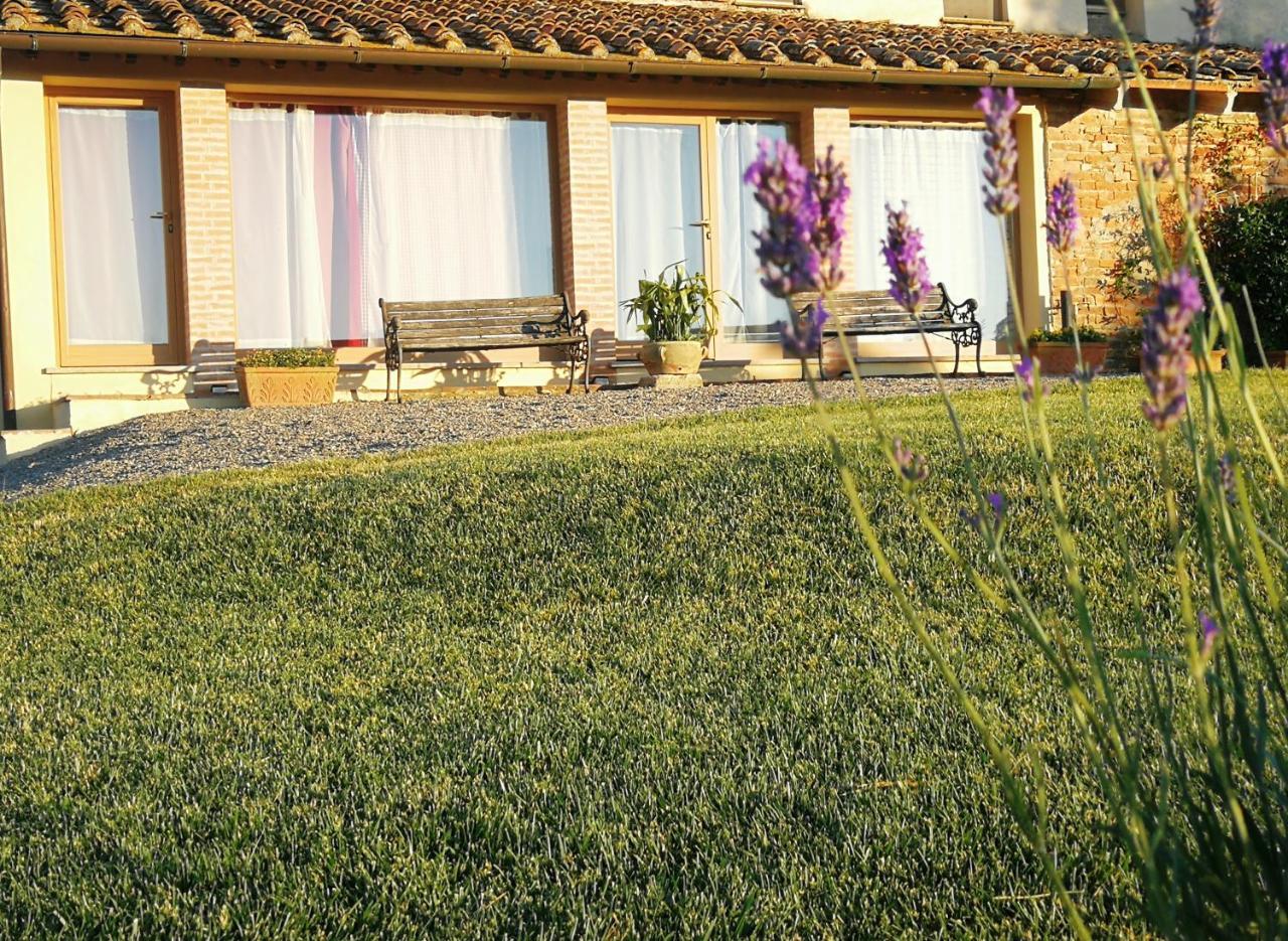 Agriturismo Le Crete - Appartamenti Asciano Ngoại thất bức ảnh